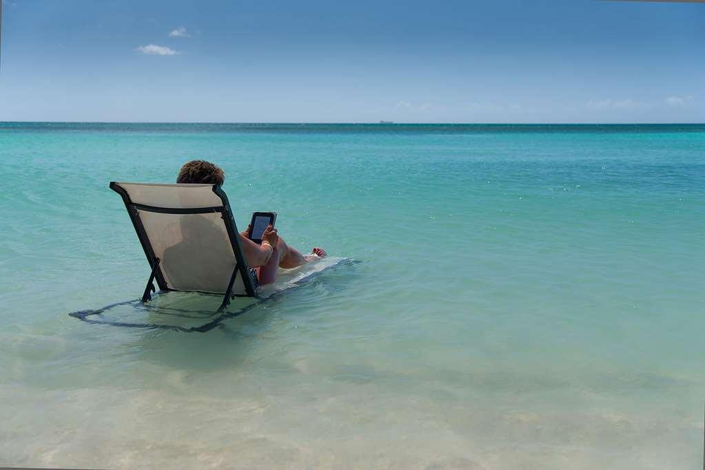 Divi Dutch Village Beach Resort Palm Beach Nature photo